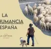 4 años, 1.000 ovejas y un viaje épico: La trashumancia como nunca la habías visto