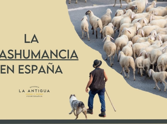 portada de vídeo sobre la trashumancia en Zamora